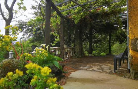 CR familiar PrimaVera Jarandilla de la Vera - Foto 1