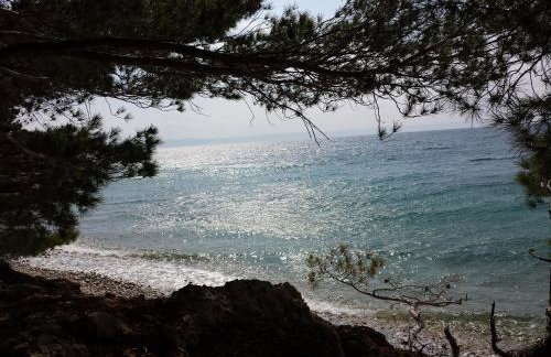 Apartments Stakic - Foto 54