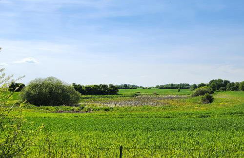 Ferienhaus Naturpur Chorin - Foto 54