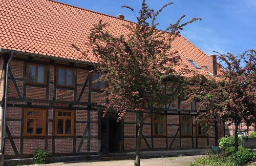 Haus der erwachenden Erde - Foto 20