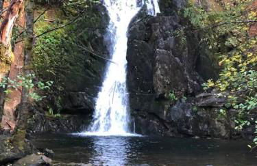 Family get away Near Sly Park Lake & Apple Hill - Foto 35