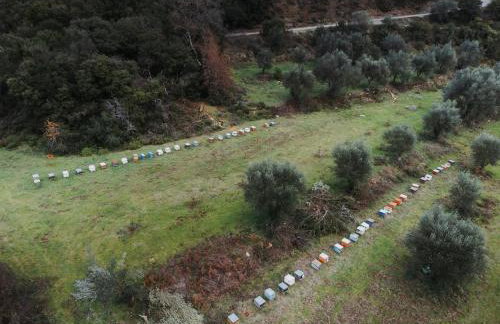 Villa Riverwood - Foto 47