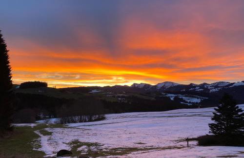 Neu - Ferienwohnung Allgäuparadies - Traumhafte Aussichten mitten in der Natur des Westallgäus - Foto 22