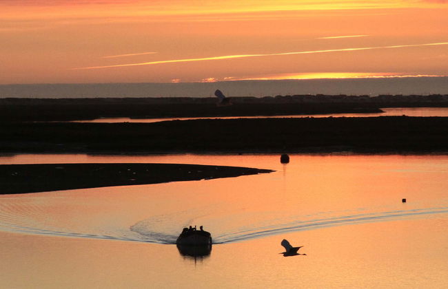 Paseo en catamarán por la Ría Formosa al atardecer - Foto 6