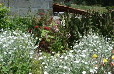 Quinta do Cobral - Foto 69