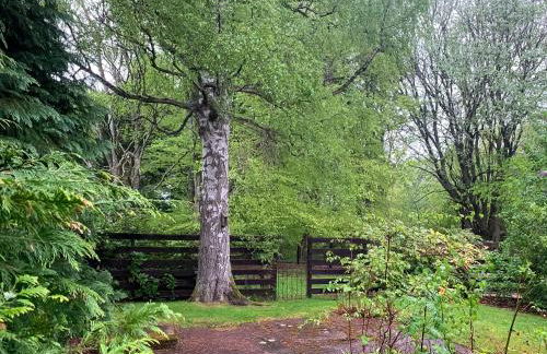 Forester's Cottage - Foto 13