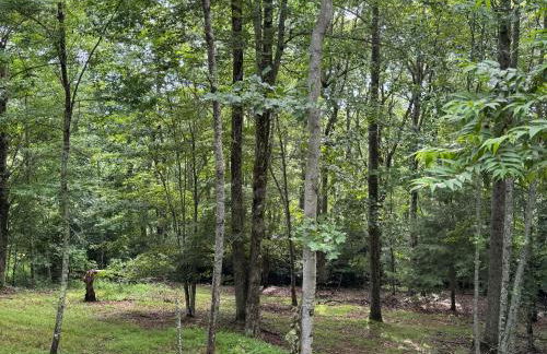 A Tiny Slice of Heaven - Foto 9