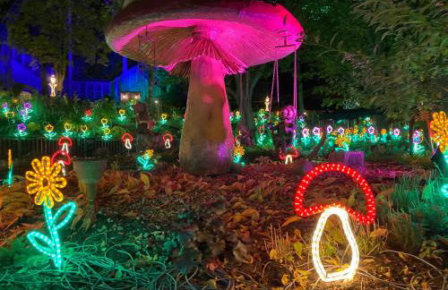 PANORAMIC FeWo SEESCHWALBE - Pool - Familien - strandnah - Hunde - Photo 23