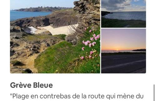 TinyHouse LE CONQUET - Foto 24