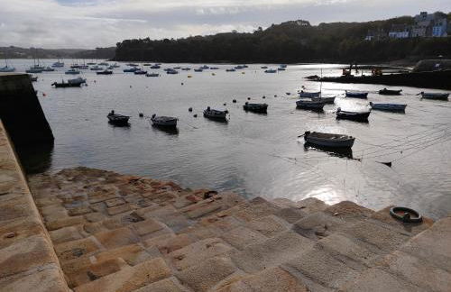 Maison de pêcheur Port de plaisance Tréboul - Foto 33
