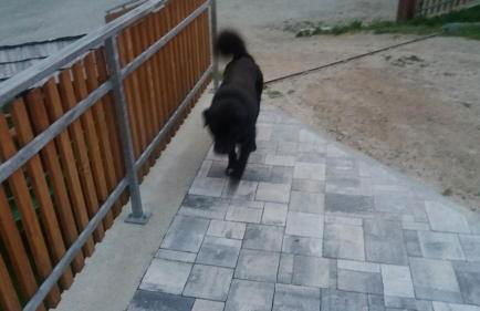 Perchnerhof - Foto 20