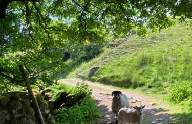 The Dale - Luxurious annexe with stunning view - Foto 22