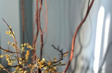 Lavender house - Foto 6