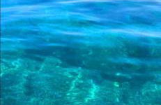 La Conchiglia sul Mare - Foto 56