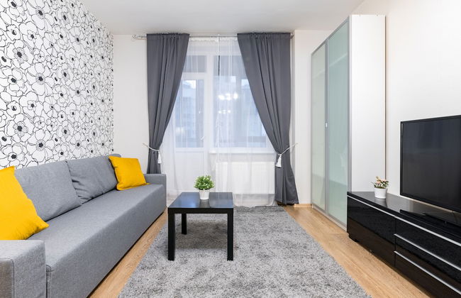 One Bedroom Great View Apartment near Gazprom Arena, UEFA 2022 - Foto 17