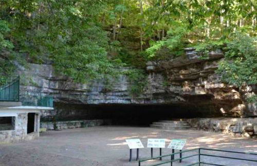 One-Of-A-Kind Smart, Cookie Themed Home For Up to 6 - Foto 43