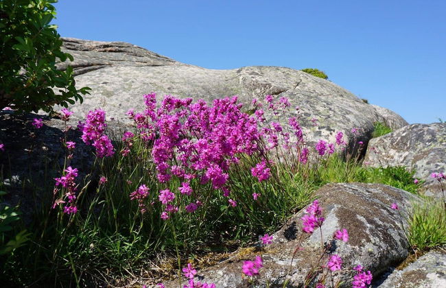 Seaside Cottage With Balcony and Grill - Photo 18