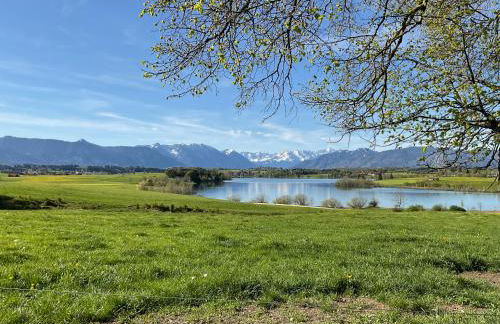 Ammergauer Vier Jahreszeiten - Foto 23