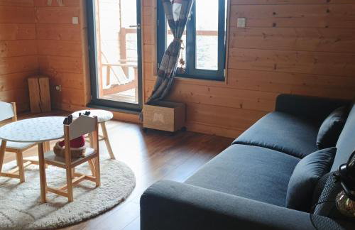 Chalet Bois le Havre du sotrè Gérardmer Sauna panoramique jacuzzi 14 personnes et 1 bébé - Photo 45