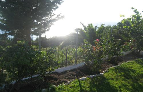 Areti Studios - Foto 70