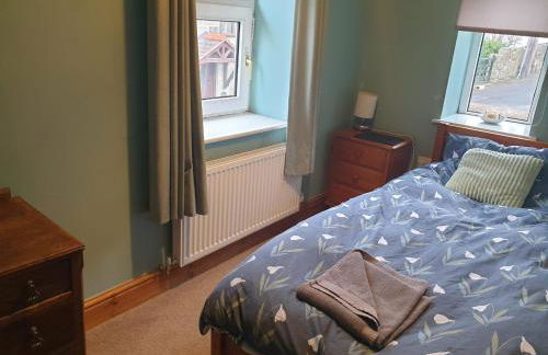 Bwthyn Bach (Tiny Cottage) - Foto 6