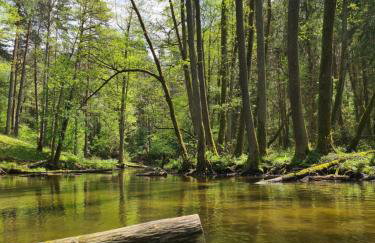 Przystań 21 - Foto 53