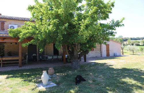 Casale Talevi - Foto 19