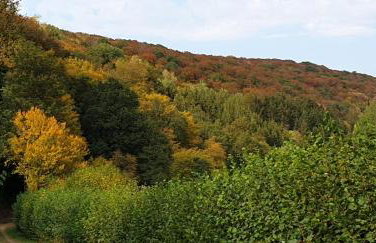 Ferienhaus Chalet Cottage Ourtalblick 2km von Vianden-Lux - Foto 37
