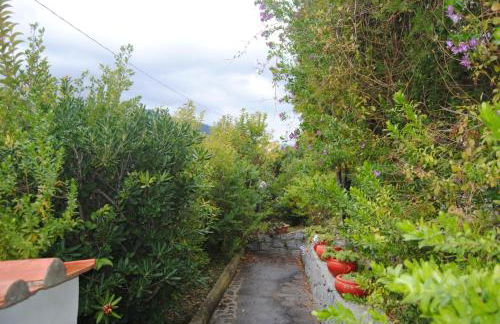 appartamento trilocale dolores - Foto 27