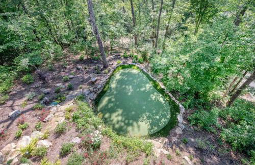 The Secret of Blue Ridge SHHHH don't tell anyone - Foto 2