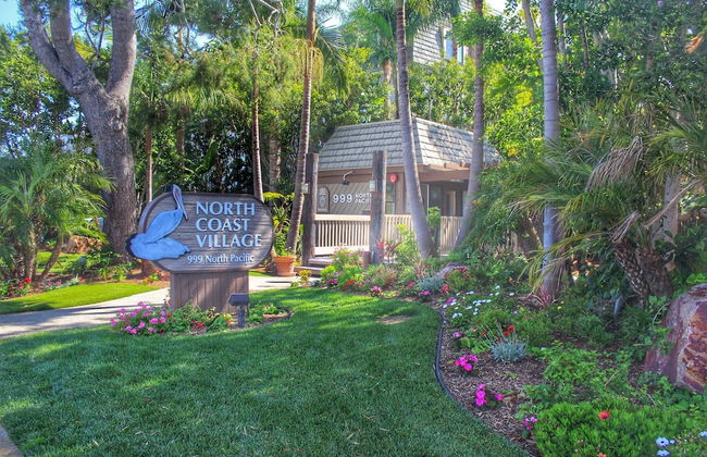 Starfish Cove - Foto 15