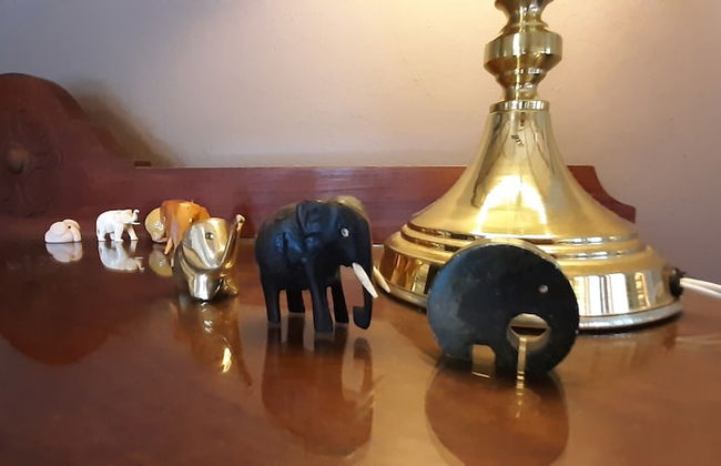 Abigails Garden Cottage - Foto 19