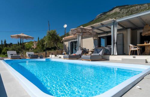 Tree of Life - Foto 11