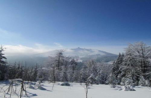 Ferienhaus in Konzell mit Terrasse - Foto 38