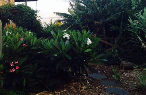 Garden Oasis at Banana Hale Studio - Foto 6