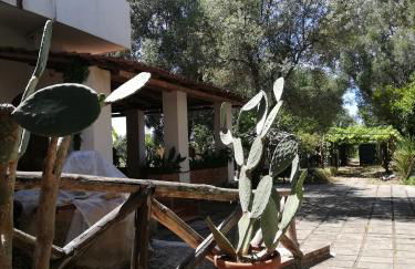 Verde & Mare - Photo 62