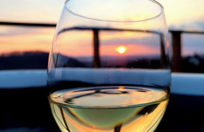 Vineyard cottage Soncni gric - Foto 11