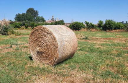 Agriturismo Fornace Certosa - Foto 45