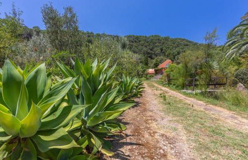 Casa Pájaro Colores in Bolonia - Foto 80