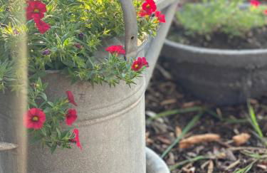 CALM HOME 3-Zimmer mit Wintergarten - Foto 2