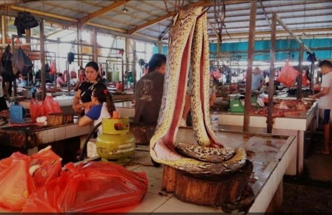 ilasan cottage - Photo 33