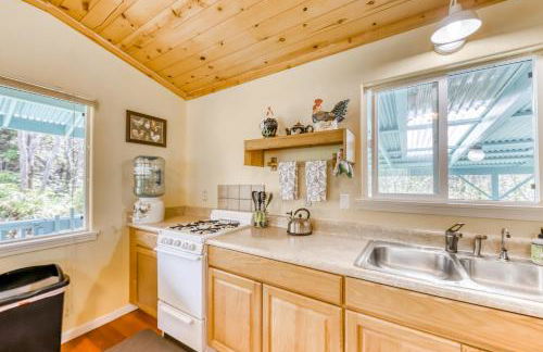 Kahu 'lo - Guardian Hawk - Foto 9