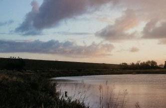 Wunderschöne FeWo direkt am Meer mit Whirlpool & Sauna - Photo 25