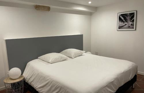 Le Pigeonnier centre historique Auxerre - Foto 17