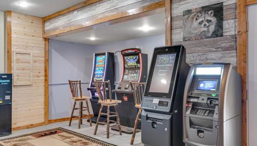 The Wilderness - Foto 3