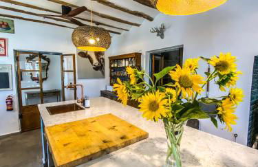 Cueva Ventica - Foto 33