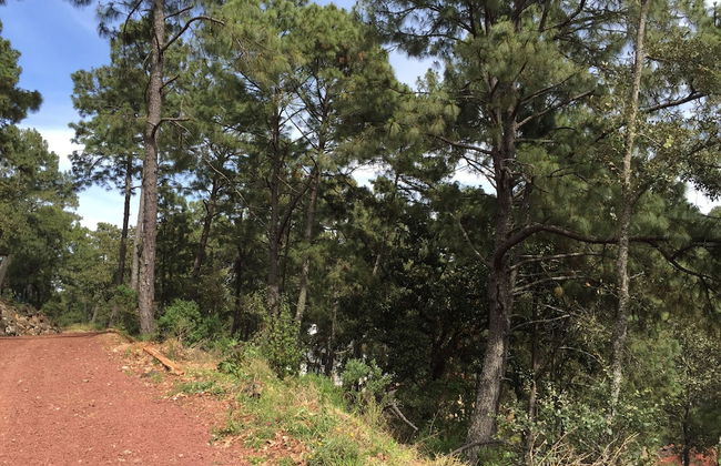 Bellavista Cabanas - Foto 33