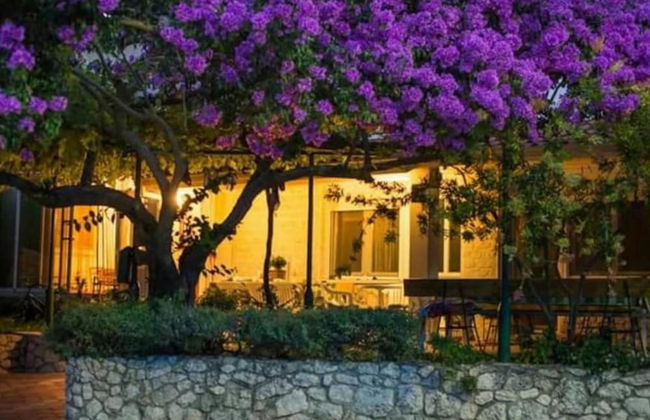 Apartments Galić - Foto 31