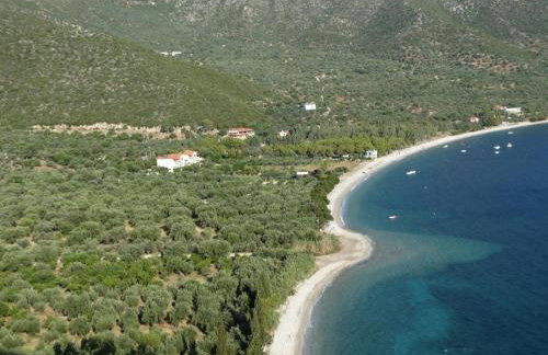 Manto Studios - Photo 42