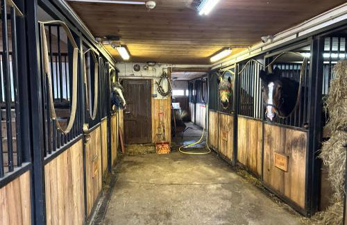 Koperkowe Rancho Beskid Wyspowy Domek Małopolskie KAMIONNA - Foto 16